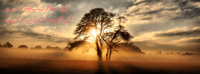 320770_583200685032355_1703718641_n