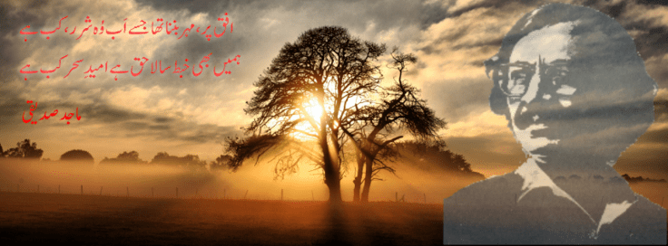 افق پر، مہر بننا تھا جسے اب وہ شرر، کب ہے ہمیں بھی خبط سا لاحق ہے امیدِ سحر کب ہے