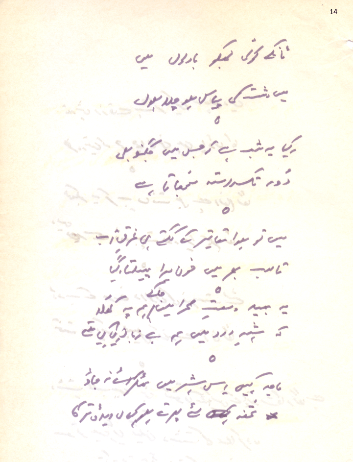 Syed Zamir Jaffry - 8-30-1987 - 14